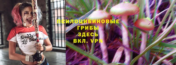МДПВ Надым