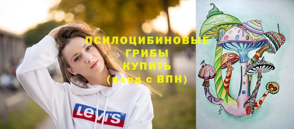 МДПВ Надым